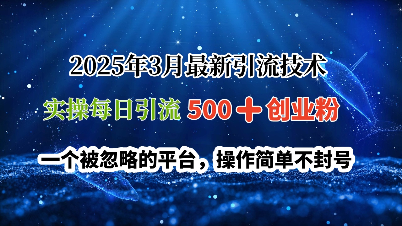 2025年3月最新引流技术，实操每日引流500➕创业粉，一个被忽略的平台，操作简单不封号-知创网
