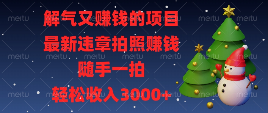 解气又赚钱的项目，最新违章拍照赚钱，随手一拍，轻松收入3000+-知创网