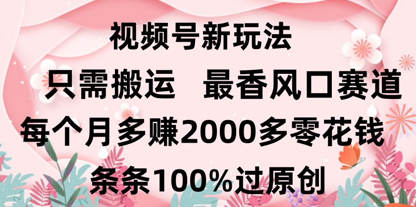 日入2000+，条条100%过原创，视频号最香风口赛道，小白轻松上手-知创网