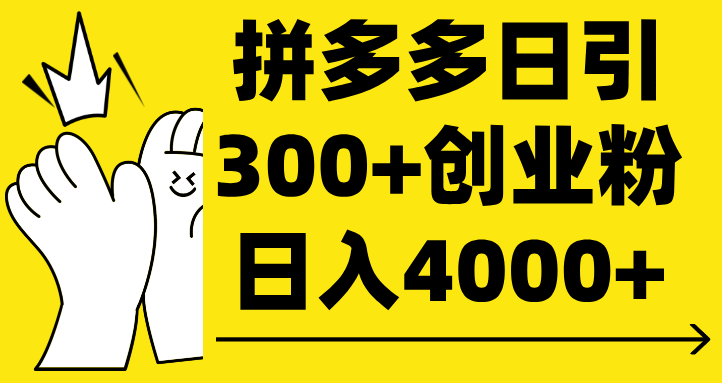 拼多多日引300+创业粉 日入4000+-知创网