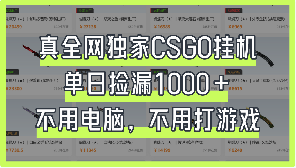 真全网独家CSGO挂机，单日捡漏1000+-知创网
