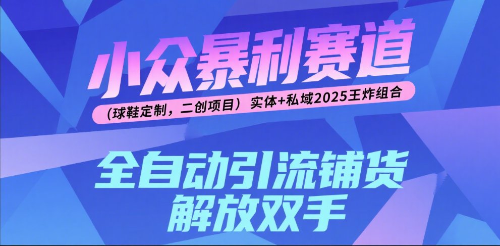 楠—小众暴利赛道（球鞋定制，二创项目）实体+私域2025王炸组合-知创网