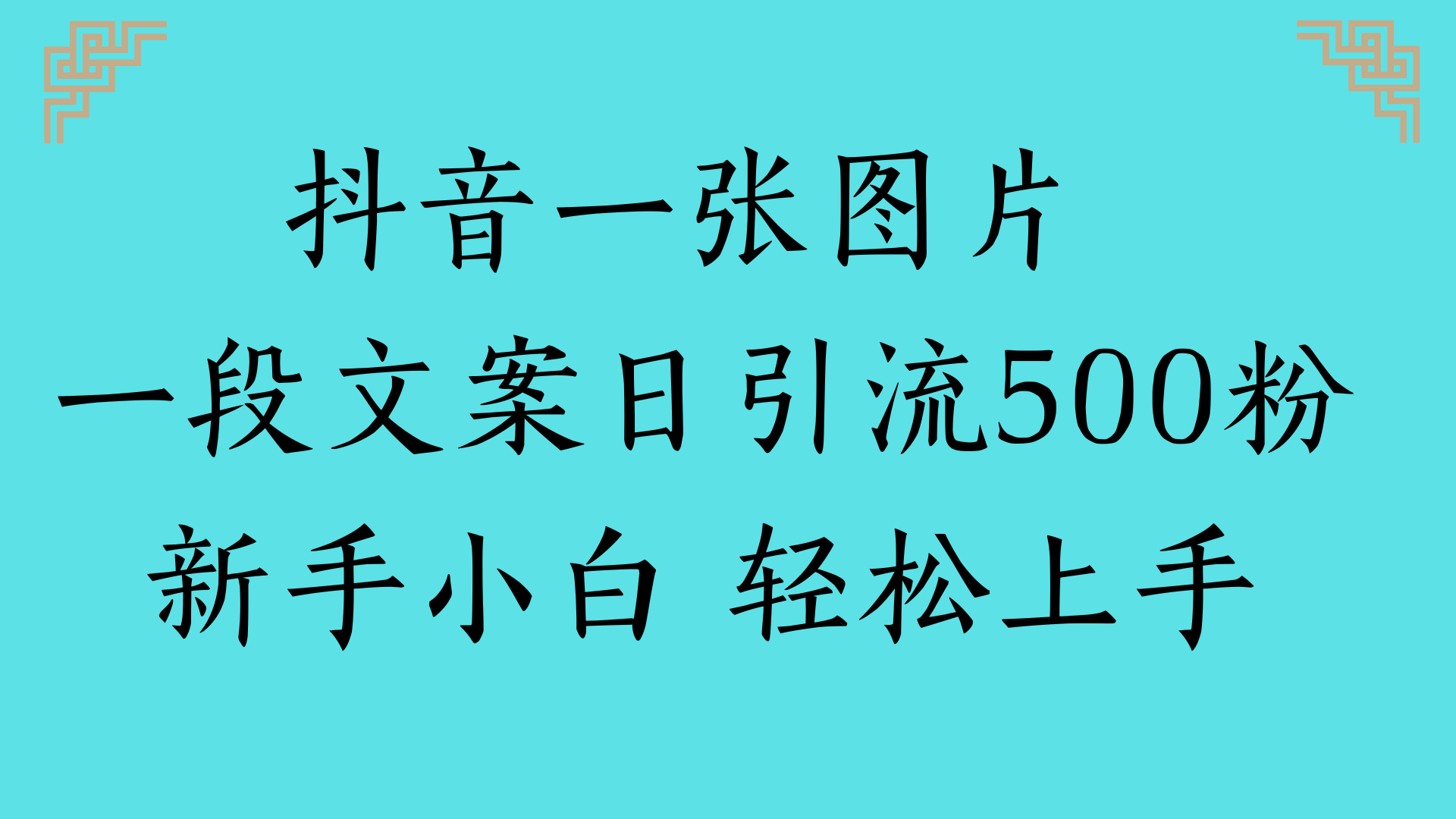 抖音一张图片 一段文案日引流500粉新手小白 轻松上手-知创网