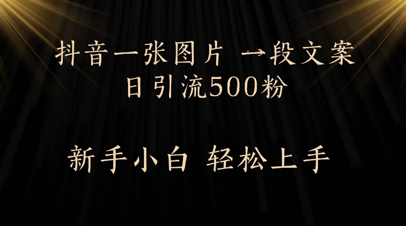 抖音一张图片，一段文案日引流500粉，新手小白 轻松上手-知创网