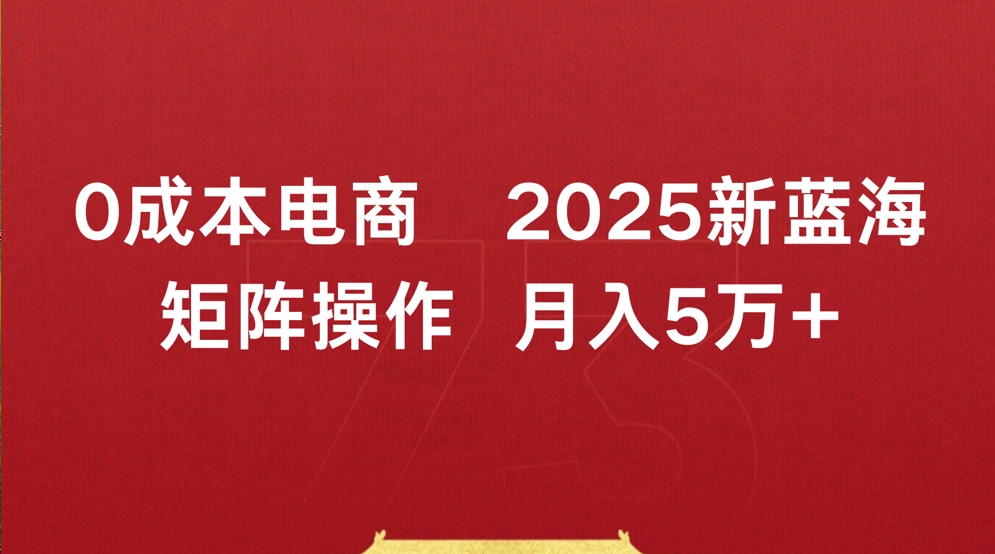 0成本电商2025新蓝海矩阵操作 月入5万+-知创网