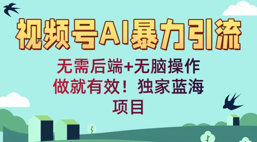 视频号AI暴力引流：无需后端+无脑操作，做就有效！独家蓝海项目-知创网