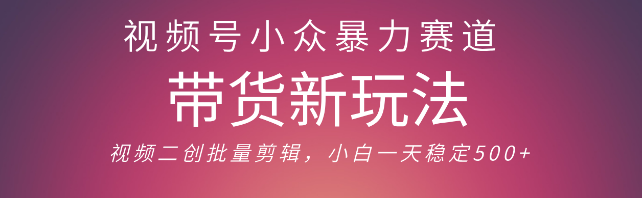 视频号小众暴力赛道，最新带货玩法 小白也能轻松日入500+ 保姆及教程-知创网