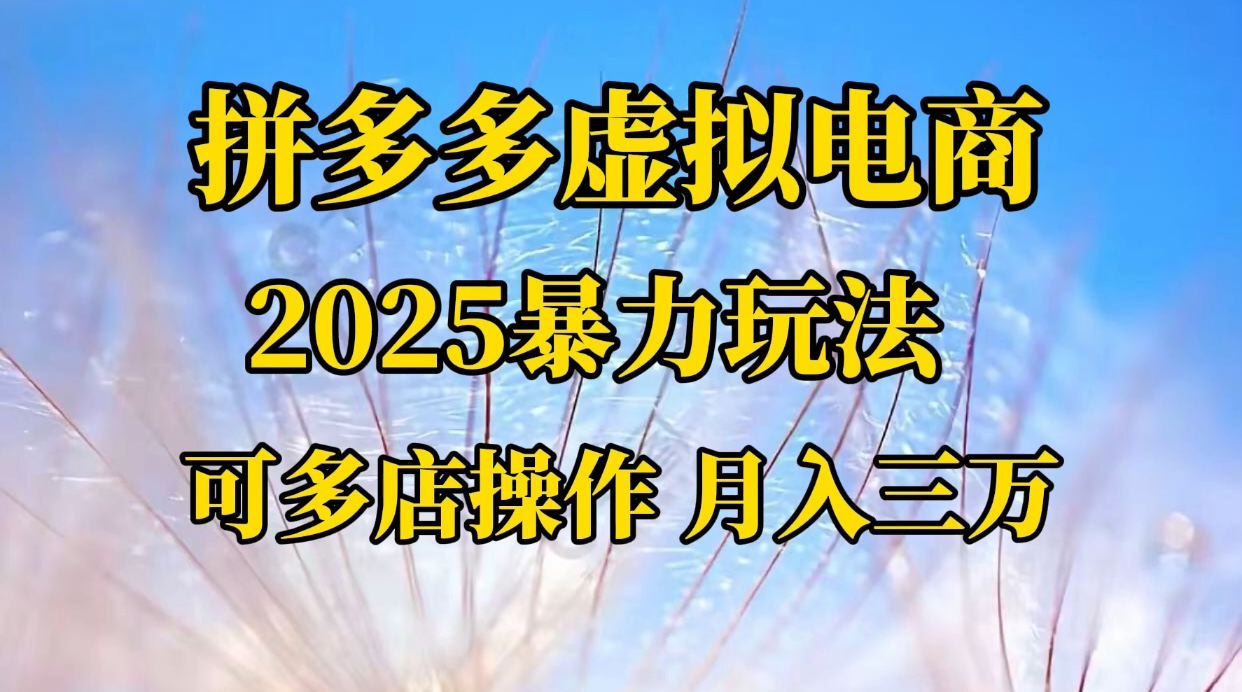 拼多多虚拟电商，不囤货不垫资的虚拟电商-知创网