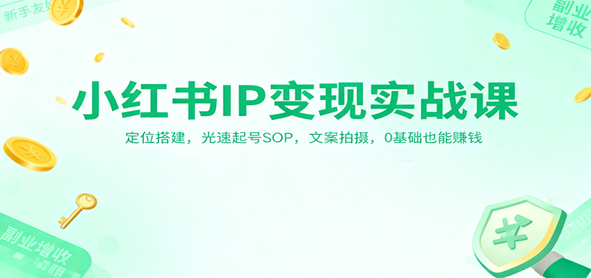 小红书IP变现实战课：定位搭建，光速起号SOP，文案拍摄，0基础也能赚钱-知创网
