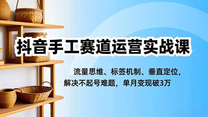 （16667期）抖音手工赛道运营实战课，流量思维、标签机制、垂直定位，解决不起号难题，单月变现破3万-知创网