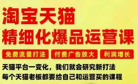 淘宝天猫精细化爆品运营课，免费流量打法-付费广告放大-利润增长-三大核心痛点，一次全部解决-知创网