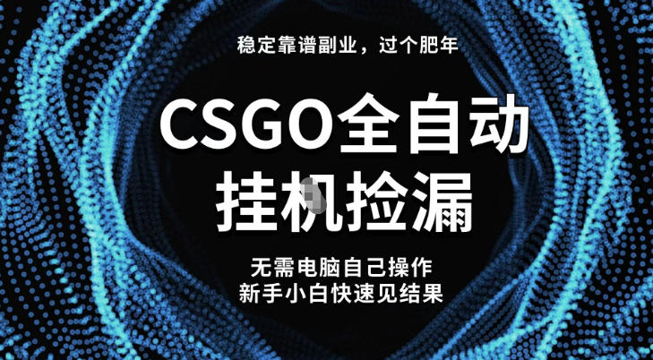 【稳定副业】全球最热门游戏CSGO全自动捡漏，最新玩法，新手小白日入5张+【揭秘】-知创网