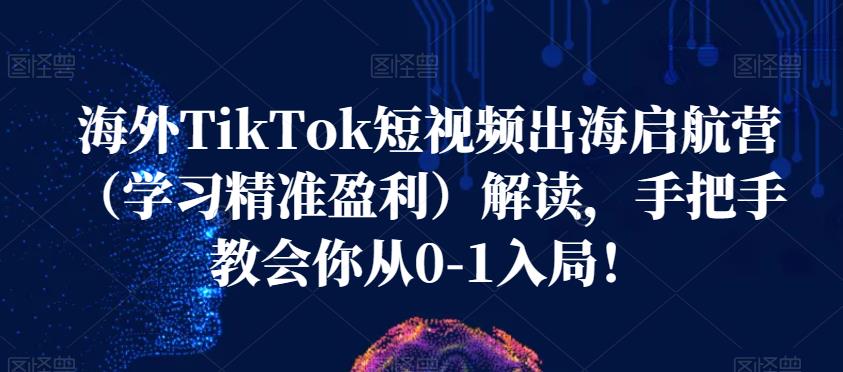 海外TikTok短视频出海启航营（学习精准盈利）解读，手把手教会你从0-1入局！-知创网