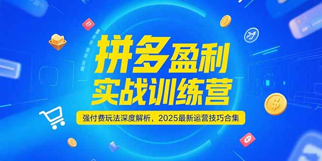 （15183期）拼多多盈利实战训练营，强付费玩法深度解析，2025运营技巧合集-更新6月-知创网