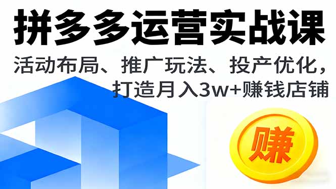（16135期）拼多多运营实战课，活动布局、推广玩法、投产优化，打造月入3w+赚钱店铺-知创网