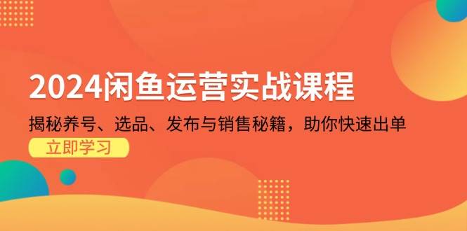 （13290期）2024闲鱼运营实战课程：揭秘养号、选品、发布与销售秘籍，助你快速出单-知创网