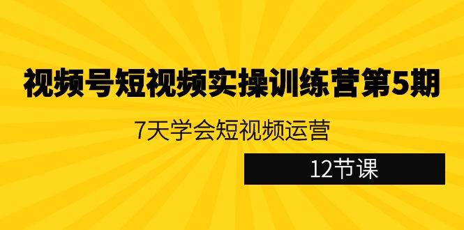 （9029期）视频号短视频实操训练营第5期：7天学会短视频运营（12节课）-知创网