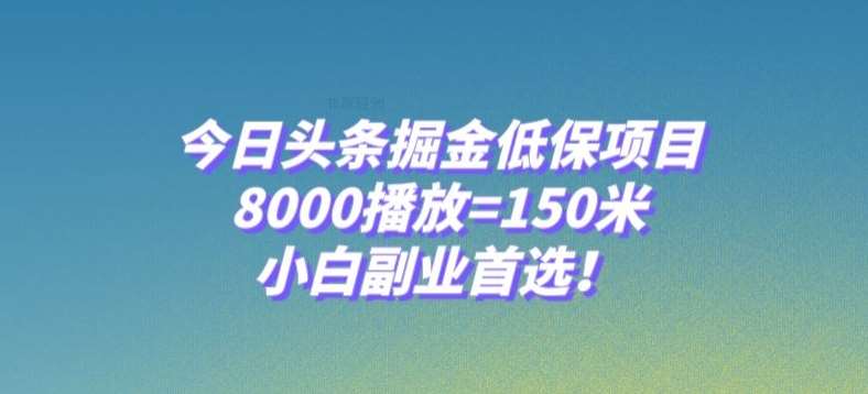 今日头条掘金低保项目,8000播放=150米,小白副业首选【揭秘】-知创网
