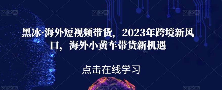 黑冰·海外短视频带货,2023年跨境新风口,海外小黄车带货新机遇-知创网