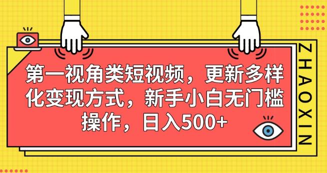 第一视角类短视频，更新多样化变现方式，新手小白无门槛操作，日入500+【揭秘】-知创网