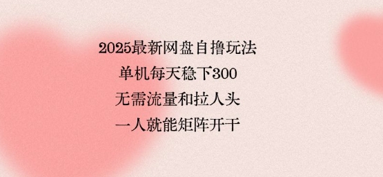 2025最新网盘自撸玩法，单机每天稳下3张，无需流量和拉人头，一个人就可轻松矩阵，全网独一份【揭秘】-知创网