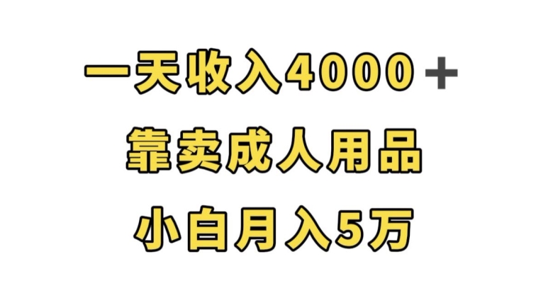 一天收入4000+，靠卖成人用品，小白轻松月入5万【揭秘】-知创网