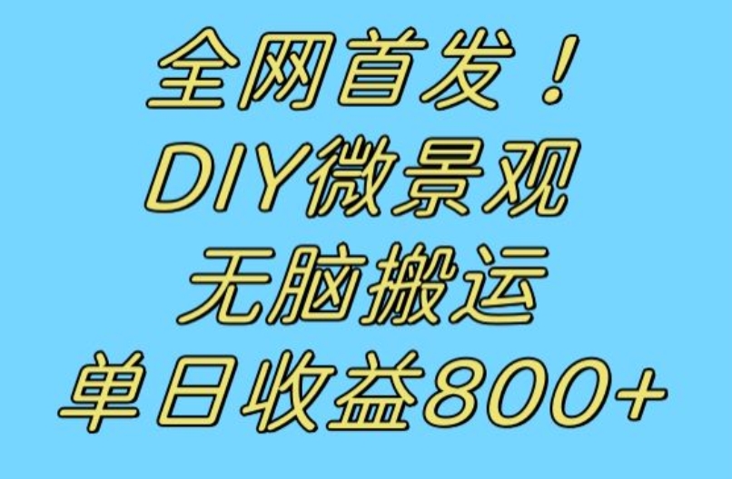 全网首发冷门赛道！DIY微景观，无脑搬运视频，日收益800+【揭秘】-知创网