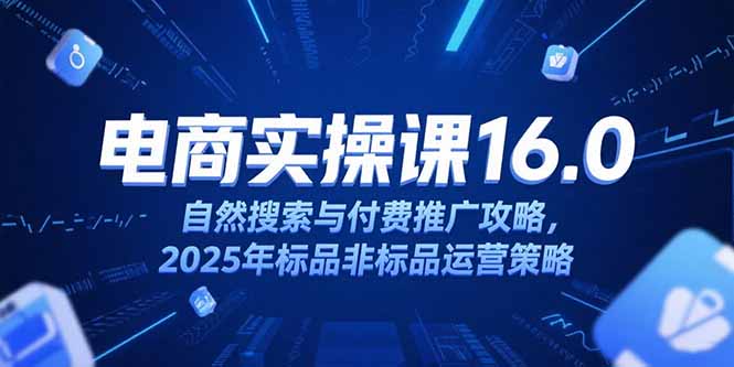 （15262期）淘宝电商运营课16.0，自然搜索与付费推广攻略，2025年标品非标品运营策略-知创网