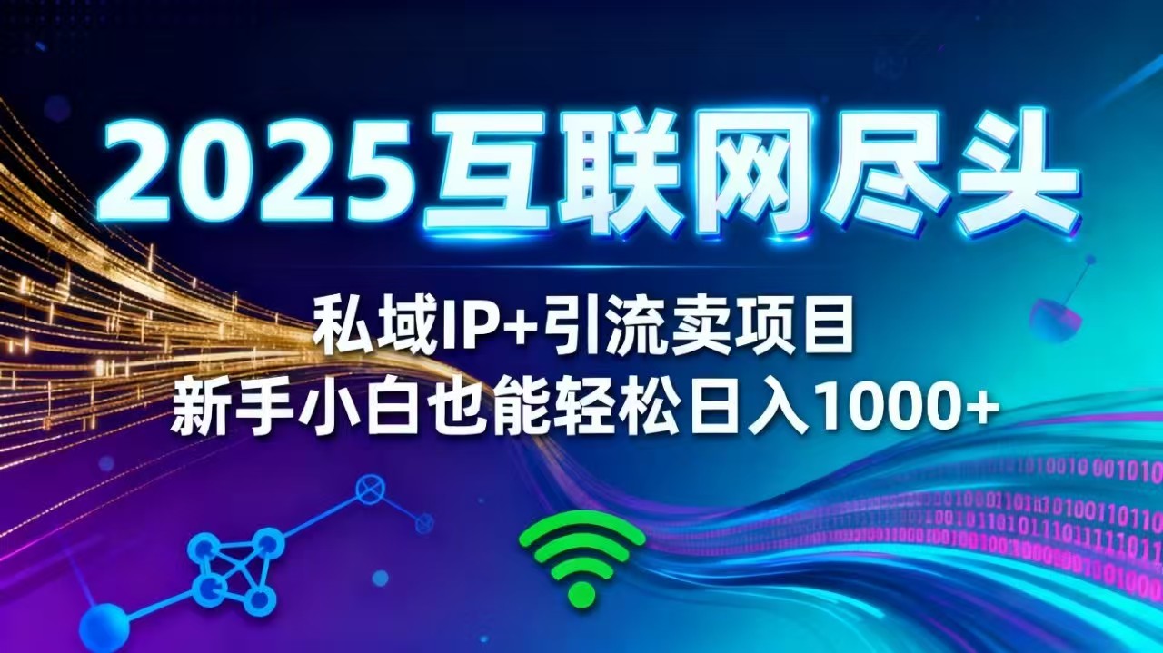 （16485期）2025网创尽头王炸项目！私域 IP + 精准引流，新手小白在家躺赚日入 1000+-知创网