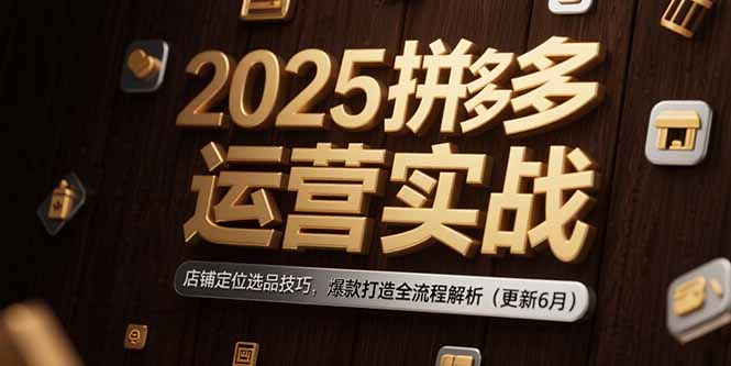 （15235期）2025拼多多运营实战：店铺定位选品技巧，爆款打造全流程解析（更新6月）-知创网