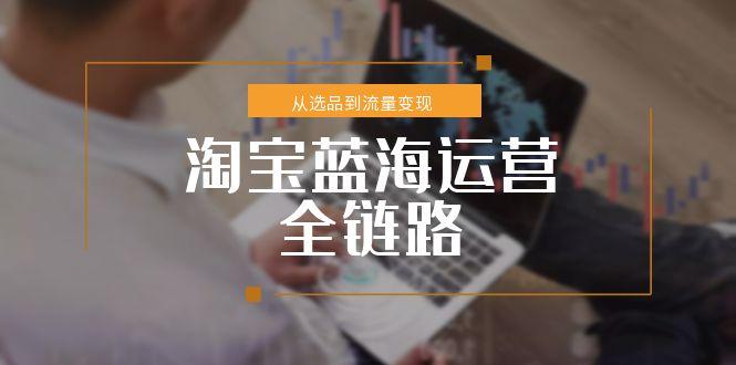（15160期）淘宝蓝海运营全链路，从选品到流量变现，小类目突围完整方案-知创网