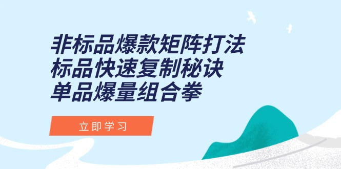 （15068期）非标品爆款矩阵打法，标品快速复制秘诀，单品爆量组合拳-知创网