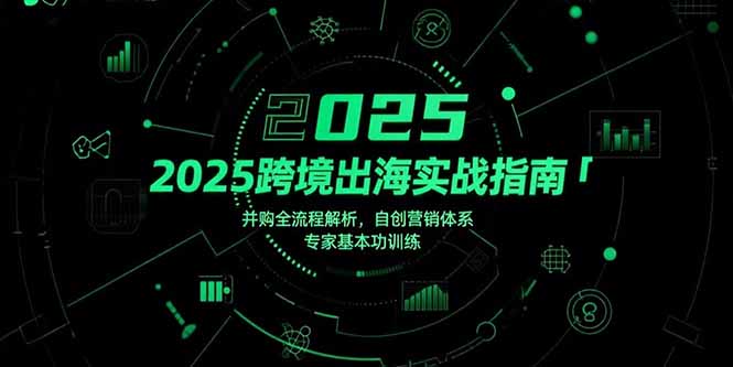 （15503期）2025跨境出海实战指南，并购全流程解析，自创营销体系，专家基本功训练-知创网