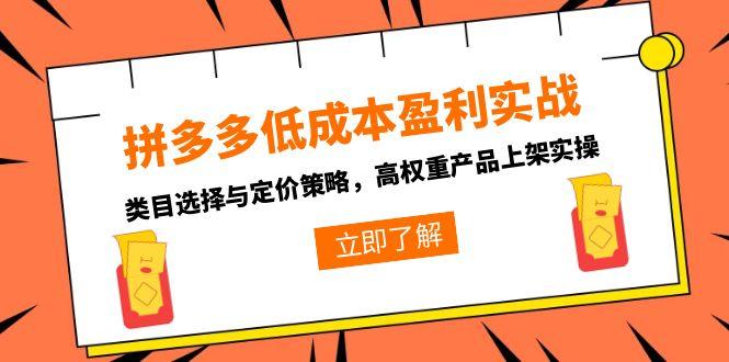 （15143期）拼多多低成本盈利实战，类目选择与定价策略，高权重产品上架实操-知创网