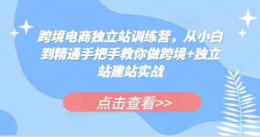 跨境电商独立站训练营，从小白到精通手把手教你做跨境+独立站建站实战-知创网