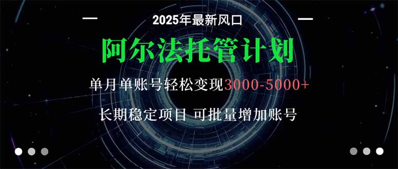 （16360期）阿尔法托管计划 单账号月入3000-5000，长期稳定项目，新手小白轻松上手。-知创网