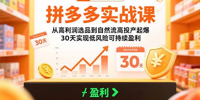 （15586期）拼多多实战课：从高利润选品到自然流高投产起爆 30天实现低风险可持续盈利-知创网