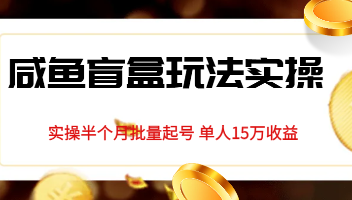 独家首发咸鱼盲盒玩法实操，半个月批量起号单人15万收益揭秘-知创网
