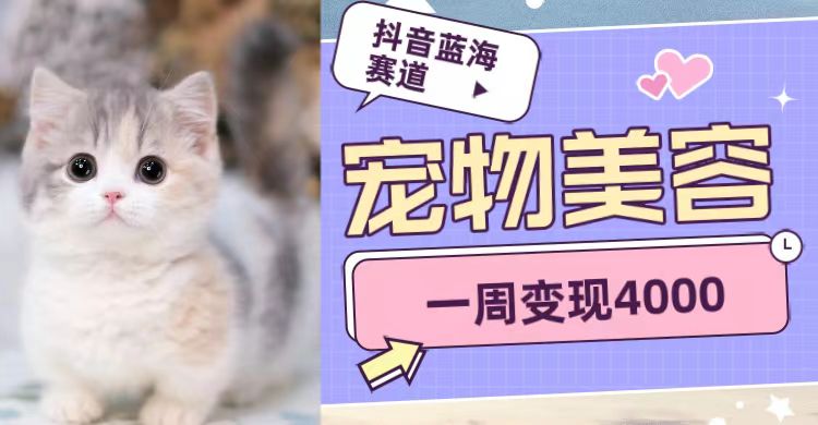 抖音蓝海赛道，宠物美容，一周变现4000-知创网