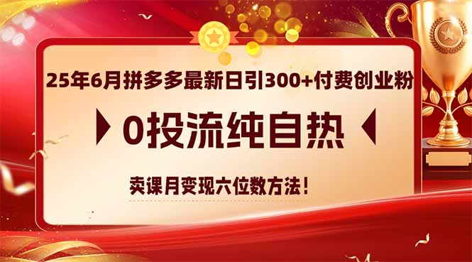 (14989期)25年6月拼多多最新日引300+付费创业粉,0投流纯自热 卖课月变现六位数方法-知创网
