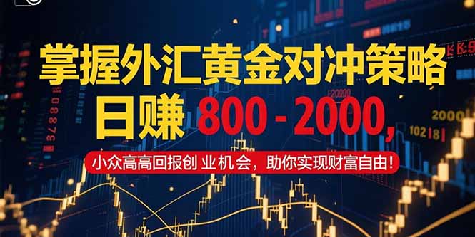 (15198期)掌握外汇黄金对冲策略,日赚 800 – 2000,小众高回报创业机会,助你实…-知创网