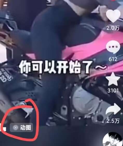 图片[2]-2024年7月苹果手机动图搬运技术-知创网