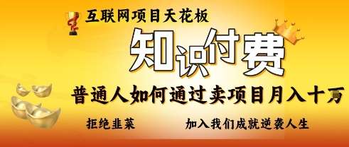 互联网项目天花板，知付付费项目，普通人如何通过卖项目月入十个，拒绝韭菜【揭秘】-知创网