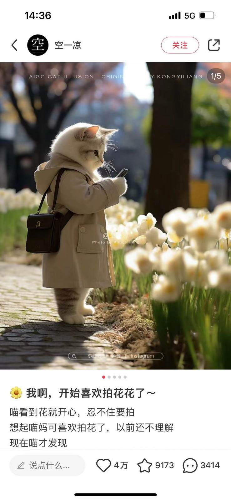 图片[2]-AI猫咪穿搭保姆级教程，起号容易，变现途径多-知创网