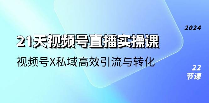 （10966期）21天-视频号直播实操课，视频号X私域高效引流与转化（22节课）-知创网