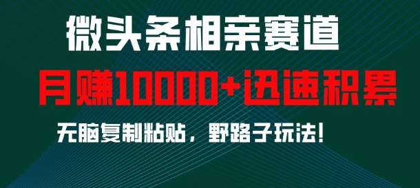 微头条相亲赛道，迅速积累，无脑复制粘贴，野路子玩法，月入1w-知创网