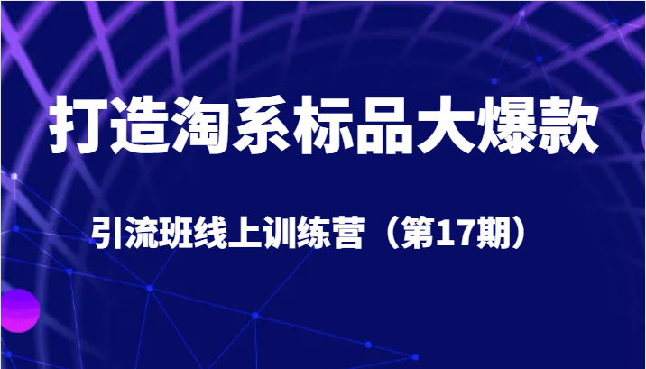 打造淘系标品大爆款引流班线上训练营5天直播授课+1个月答疑-知创网