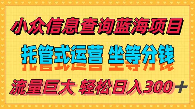 （15216期）稳定日入300＋，小众信息查询蓝海项目，全程懒人式托管，解放你的时间-知创网
