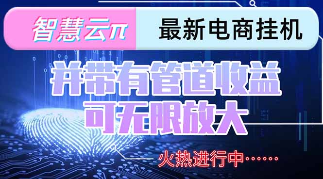 （15314期）智慧云π电脑挂机单机每天收益300—500+ 并带有团队管道收益 可无限放大-知创网