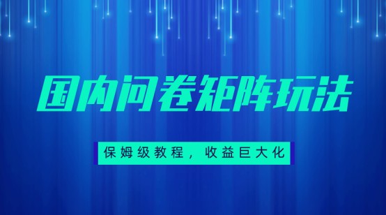 保姆级教程,国内问卷矩阵玩法,轻松赚收益-知创网